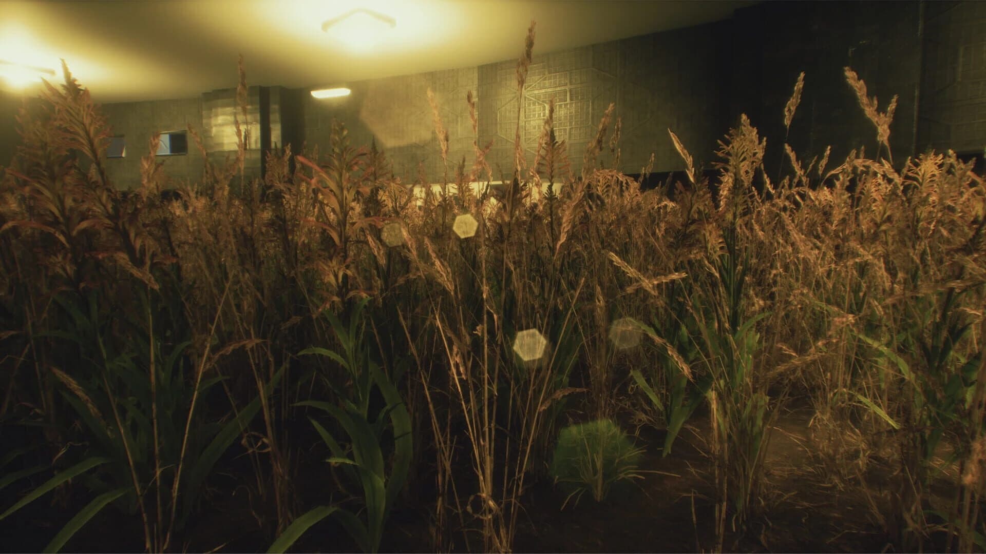 Twice Dead screenshot 5