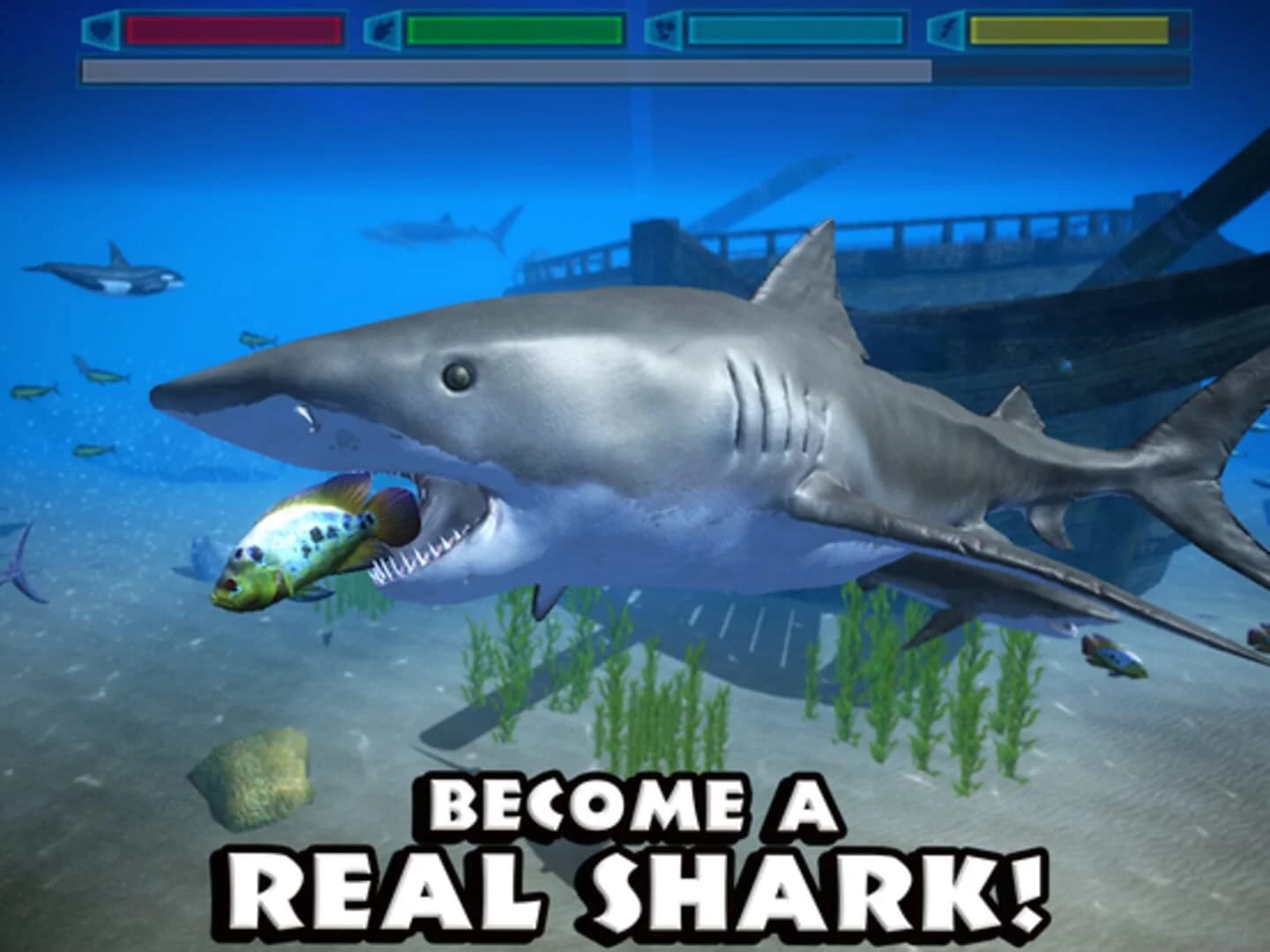 Ultimate Shark Simulator screenshot 3