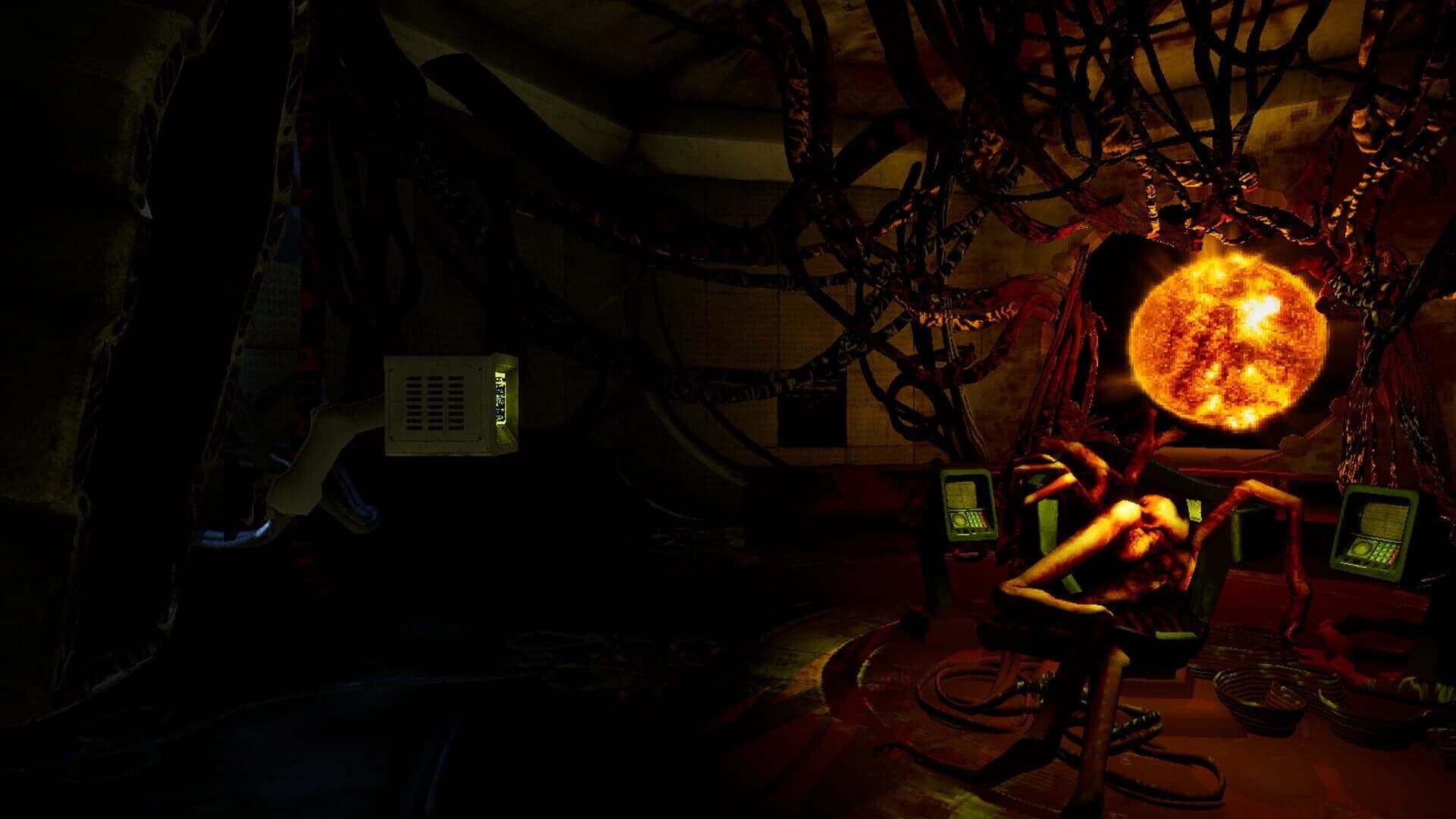 Ultrasound screenshot 5