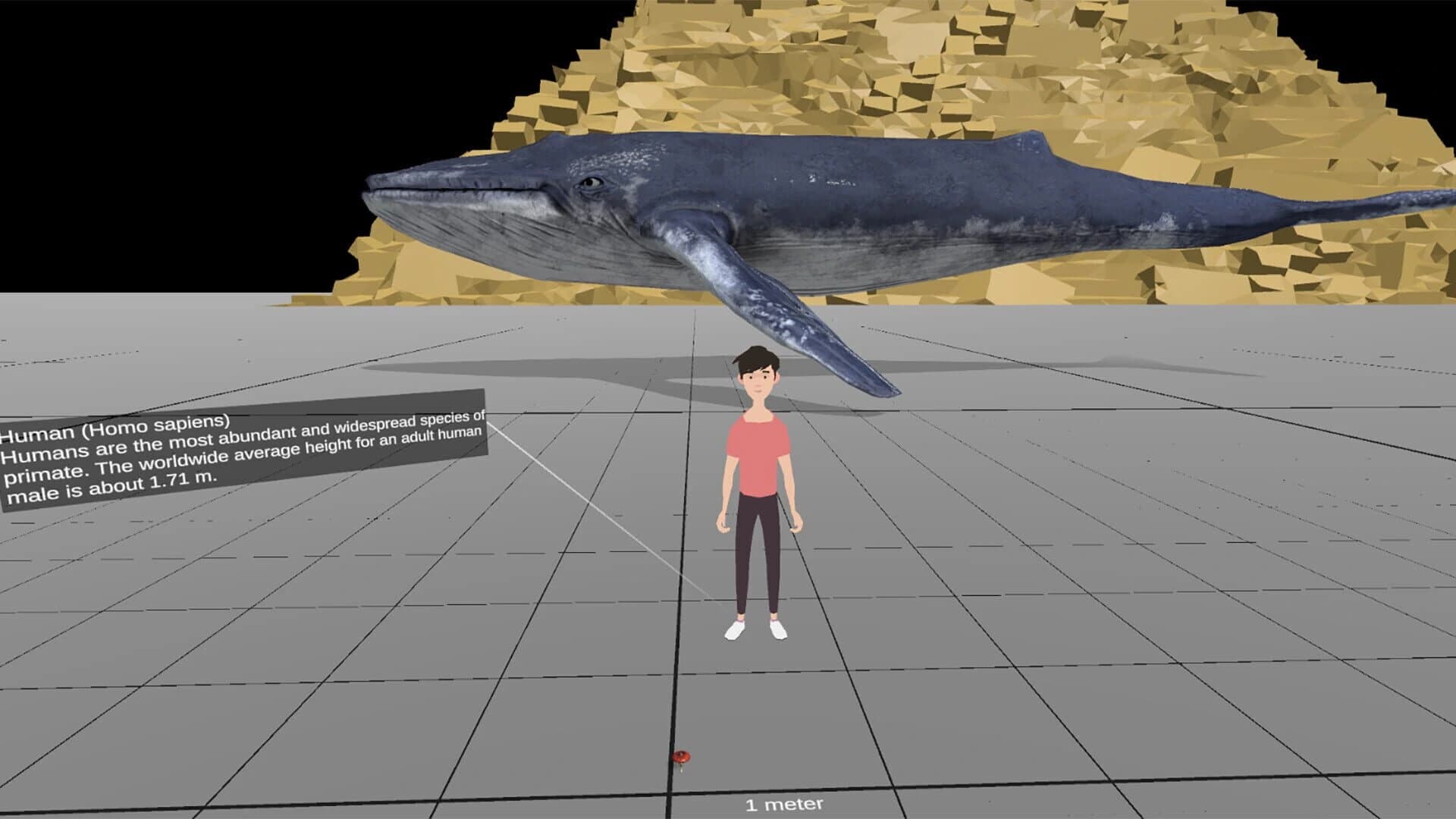 Universe Size Comparison VR screenshot 5