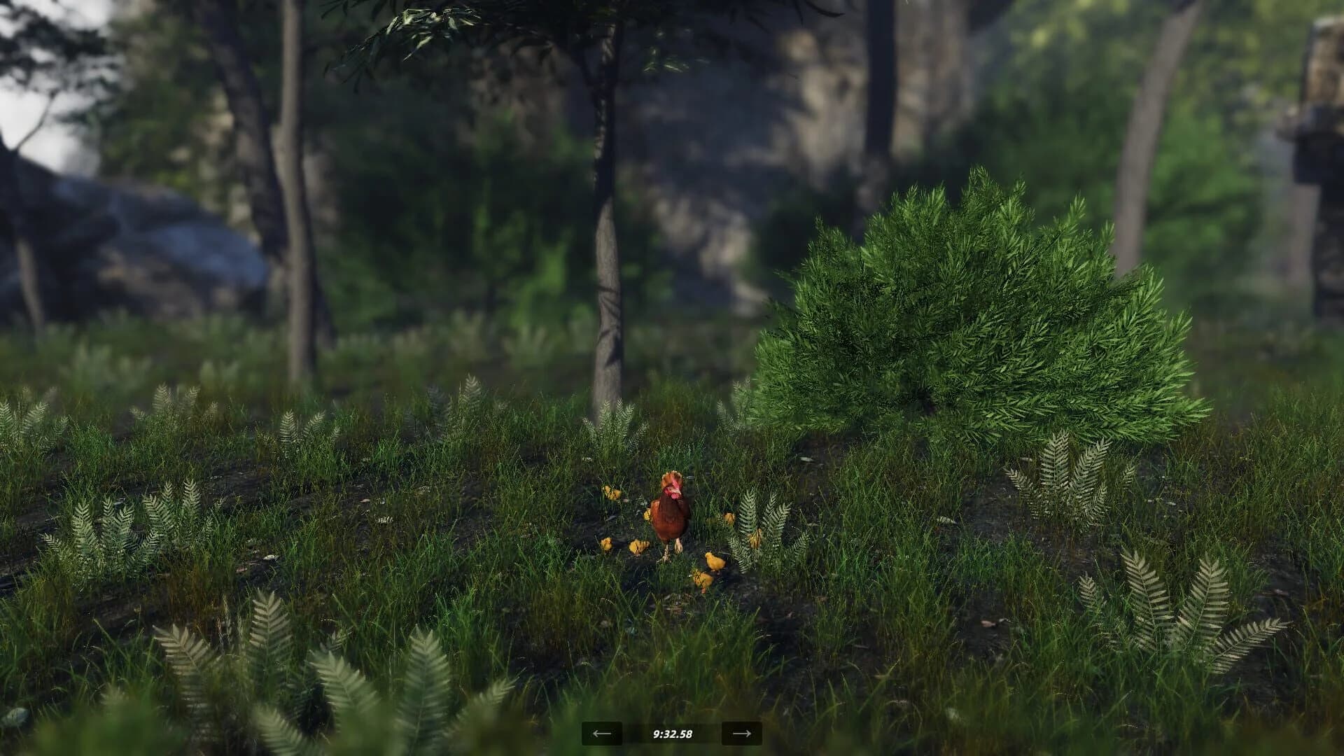 Unlucky Chicken screenshot 5