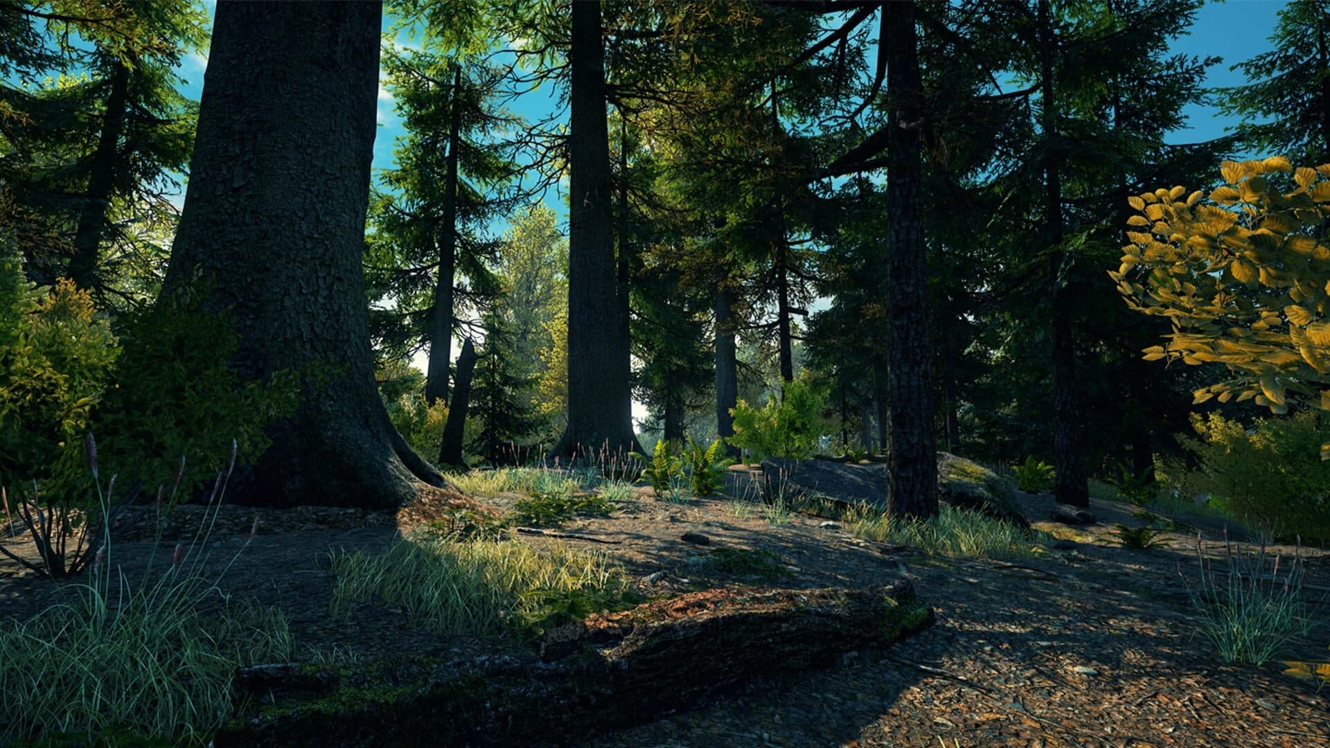 Vestige of the Past screenshot 5