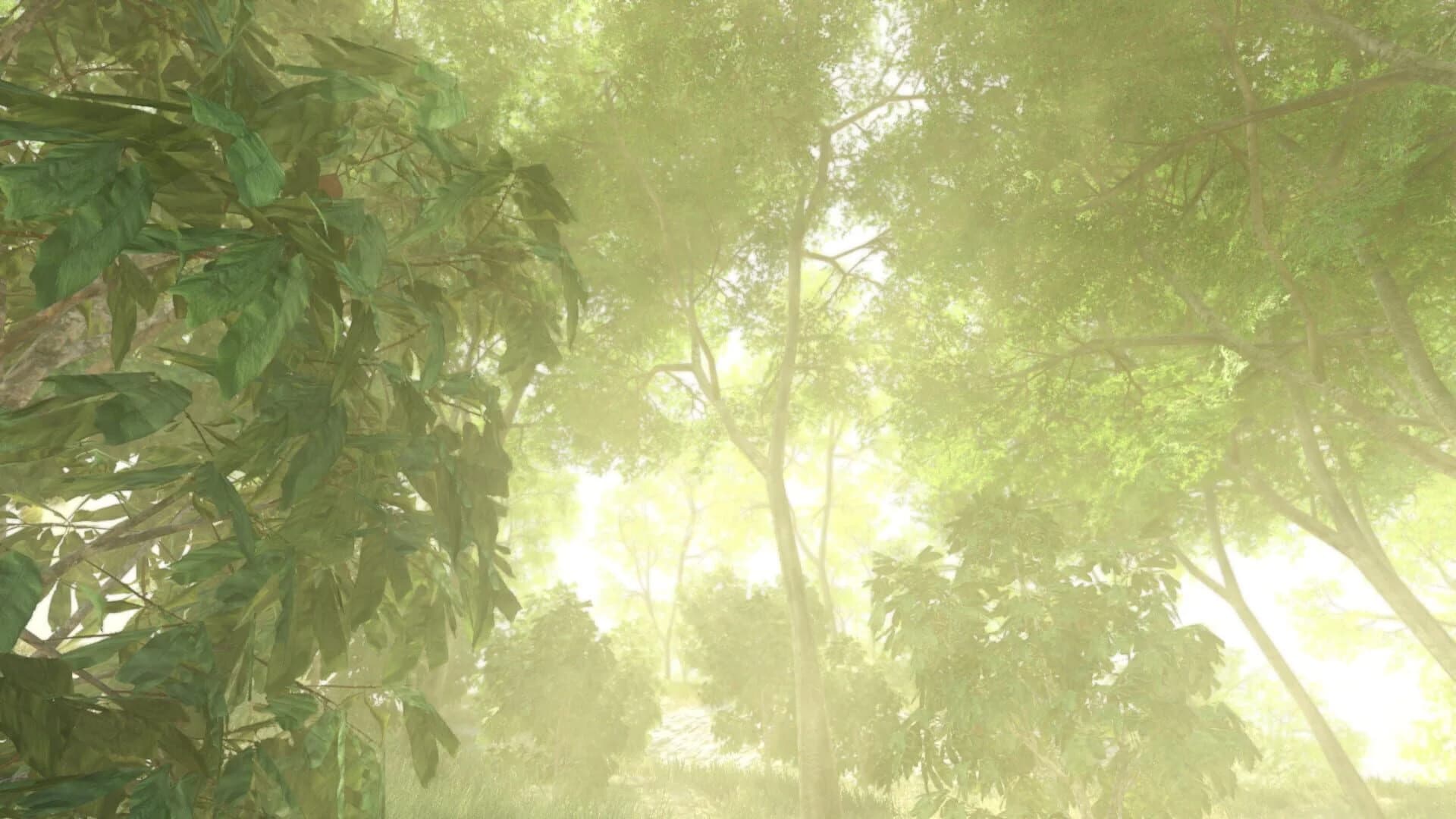 Vietcong screenshot 3