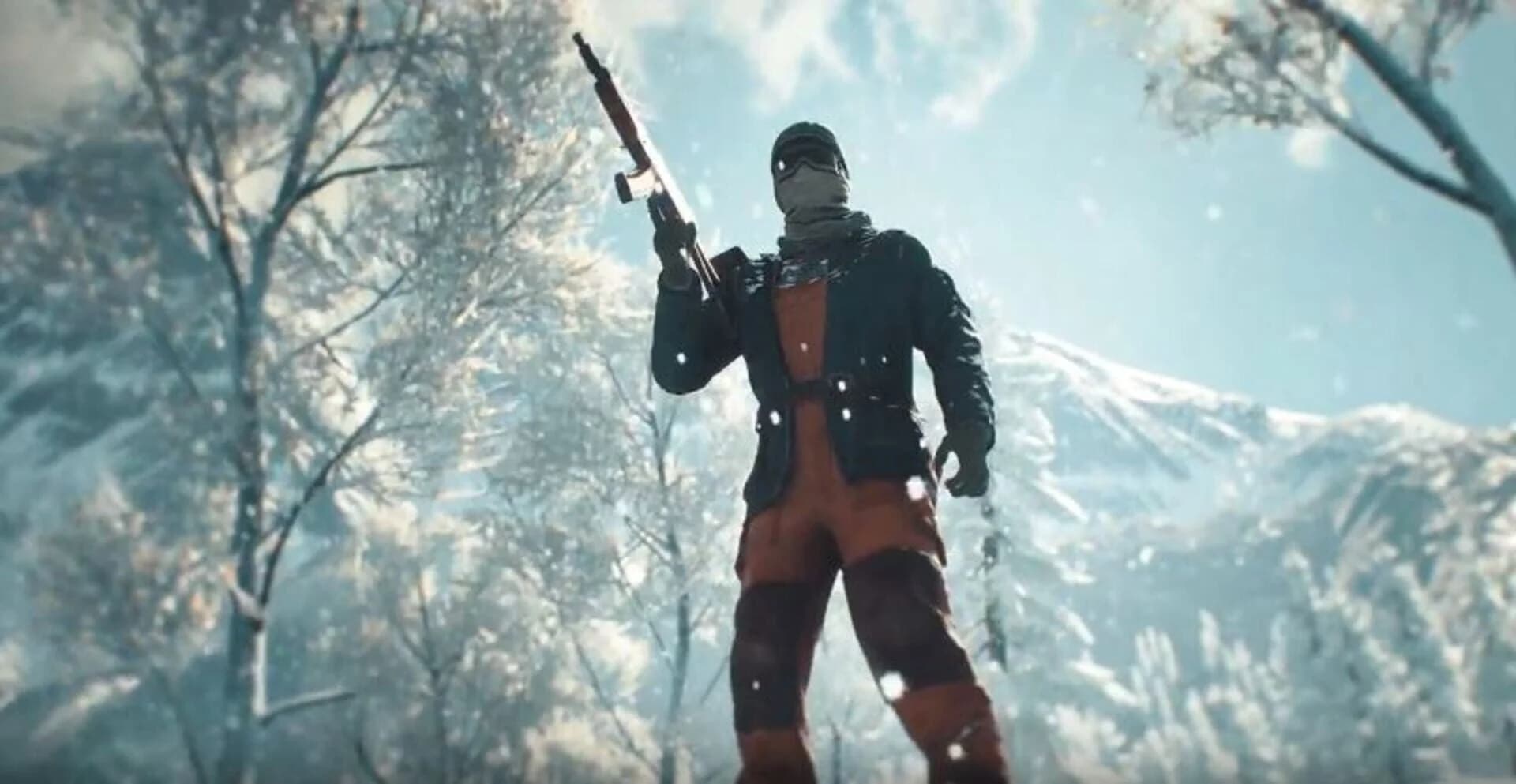 Vigor screenshot 1