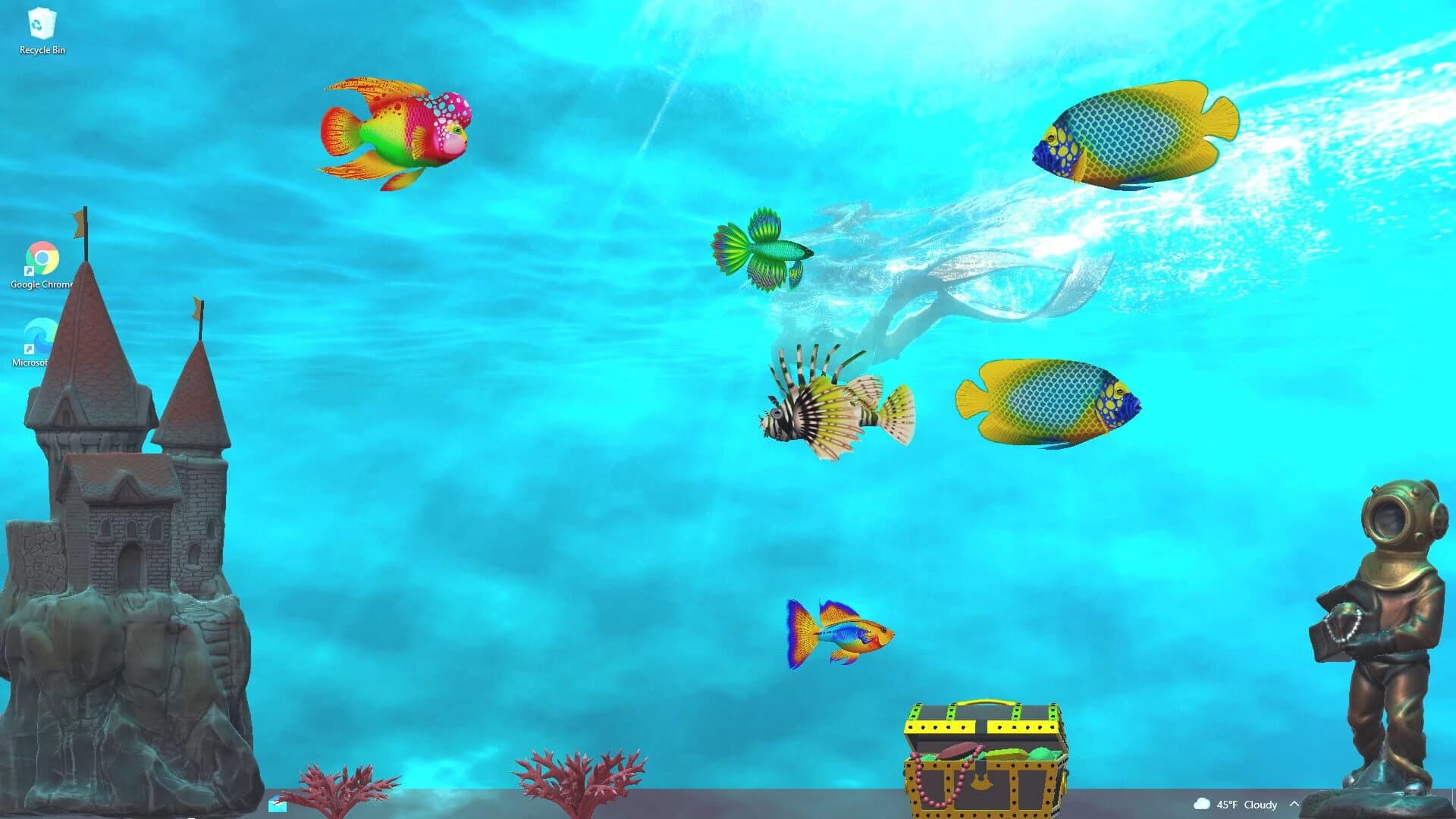 Virtual Aquarium screenshot 5