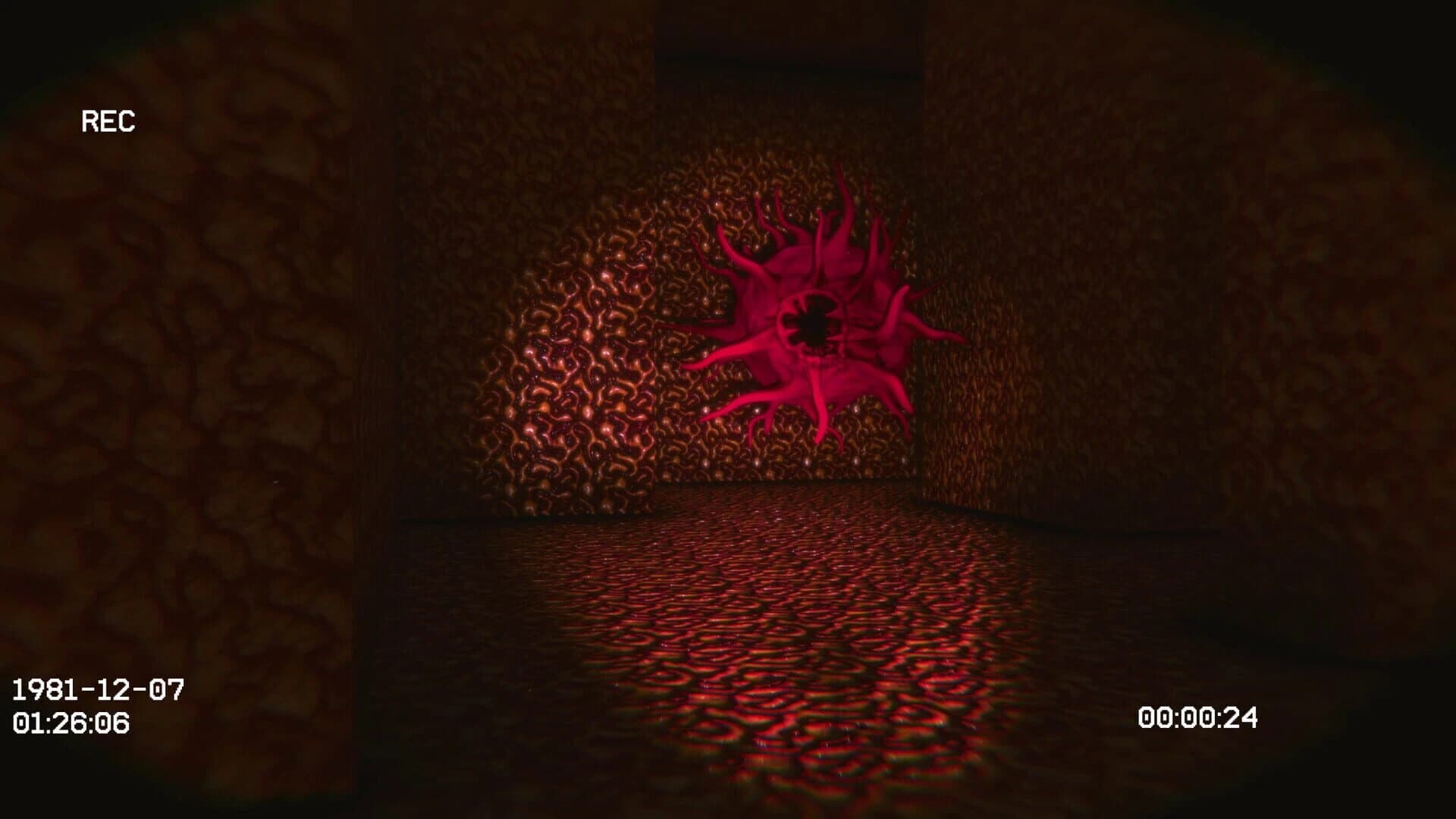 Void81 screenshot 3