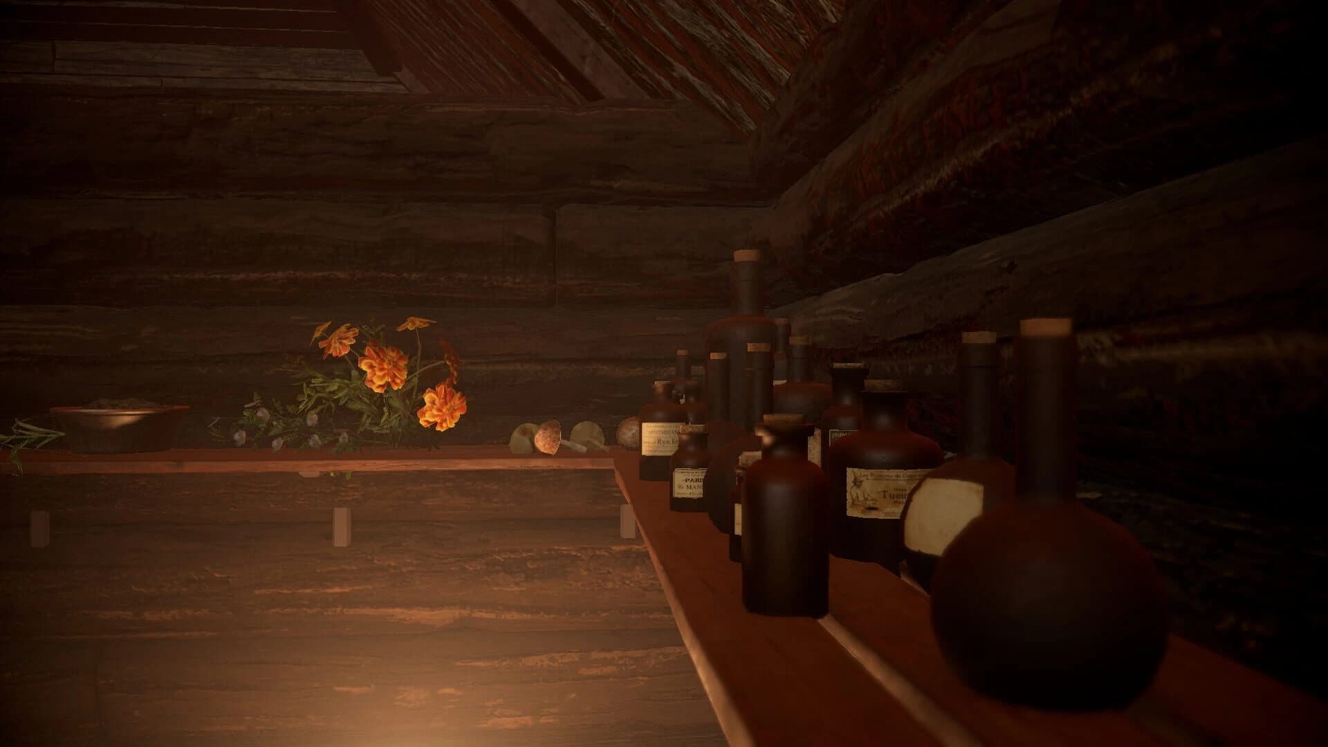Volkhv: Memoir of the Witch Doctor screenshot 2