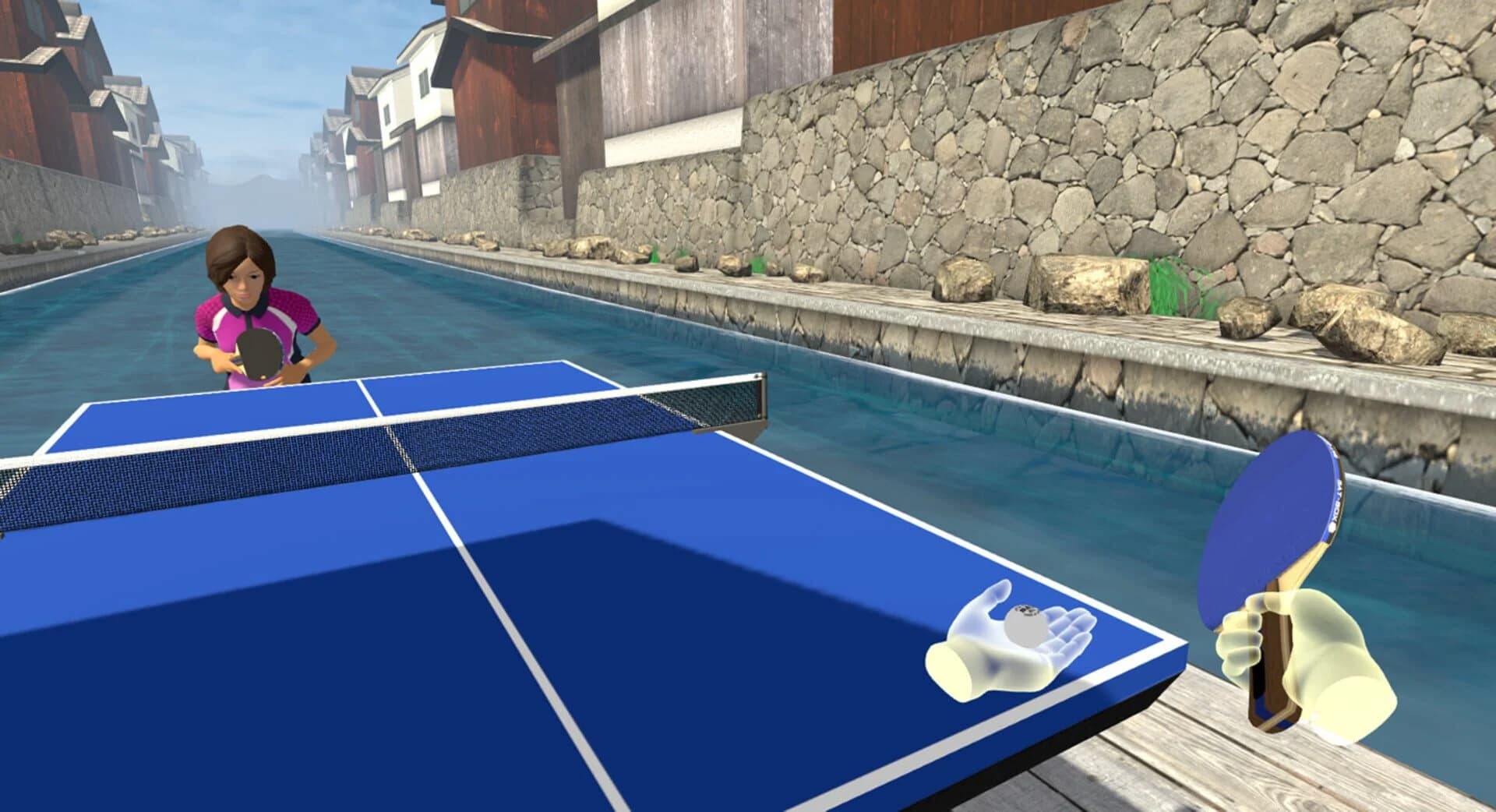 VR Ping Pong Paradise screenshot 3