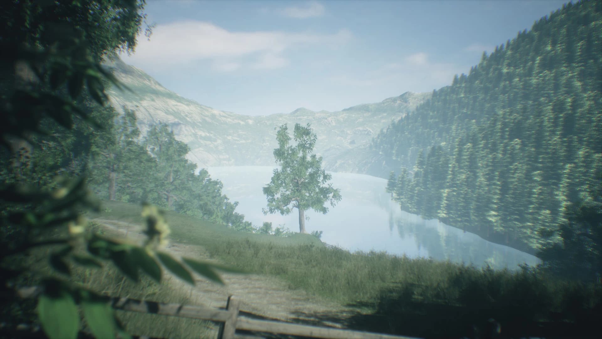 Wakamarina Valley, New Zealand screenshot 4
