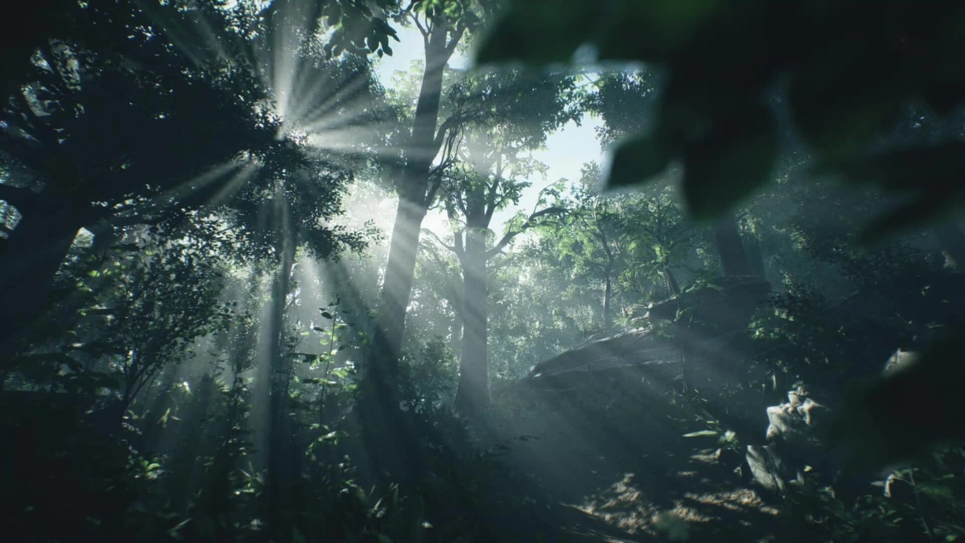 Wakamarina Valley, New Zealand screenshot 1