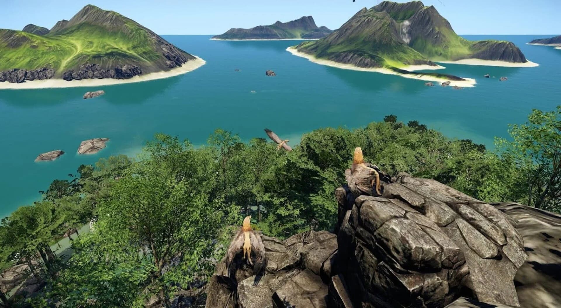 Wander screenshot 4