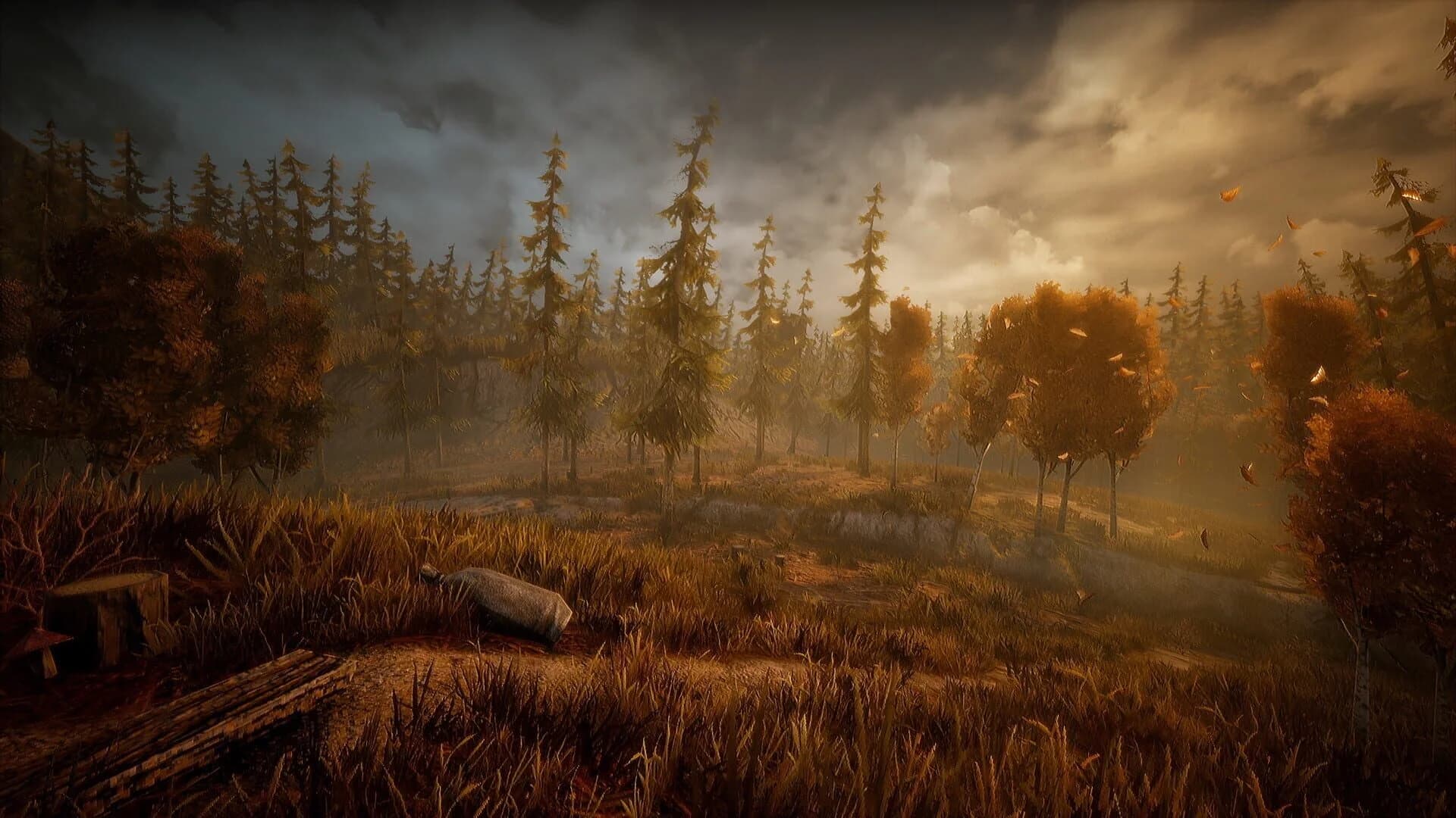 Wandering Wolf screenshot 4