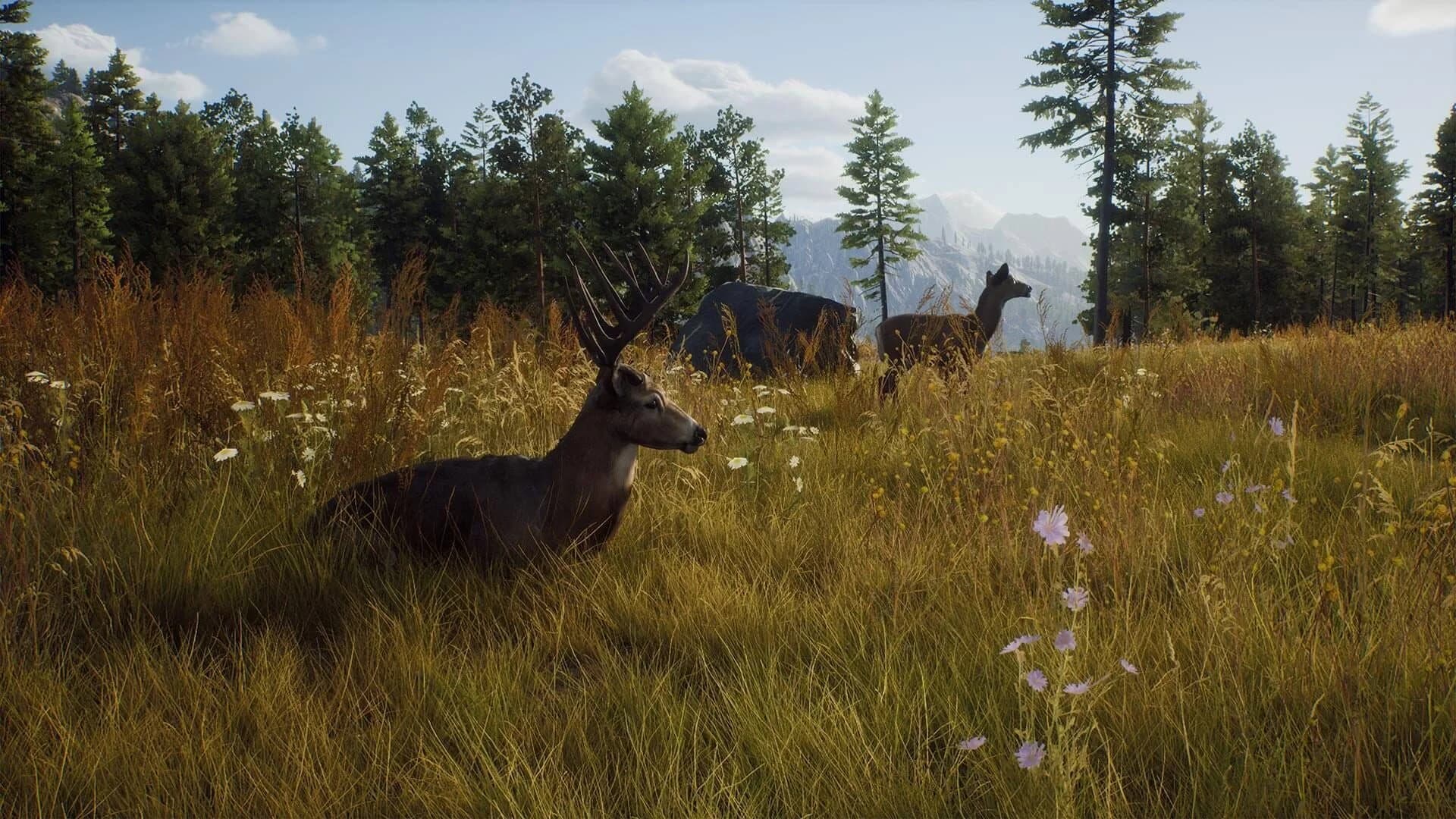 Way of the Hunter screenshot 5