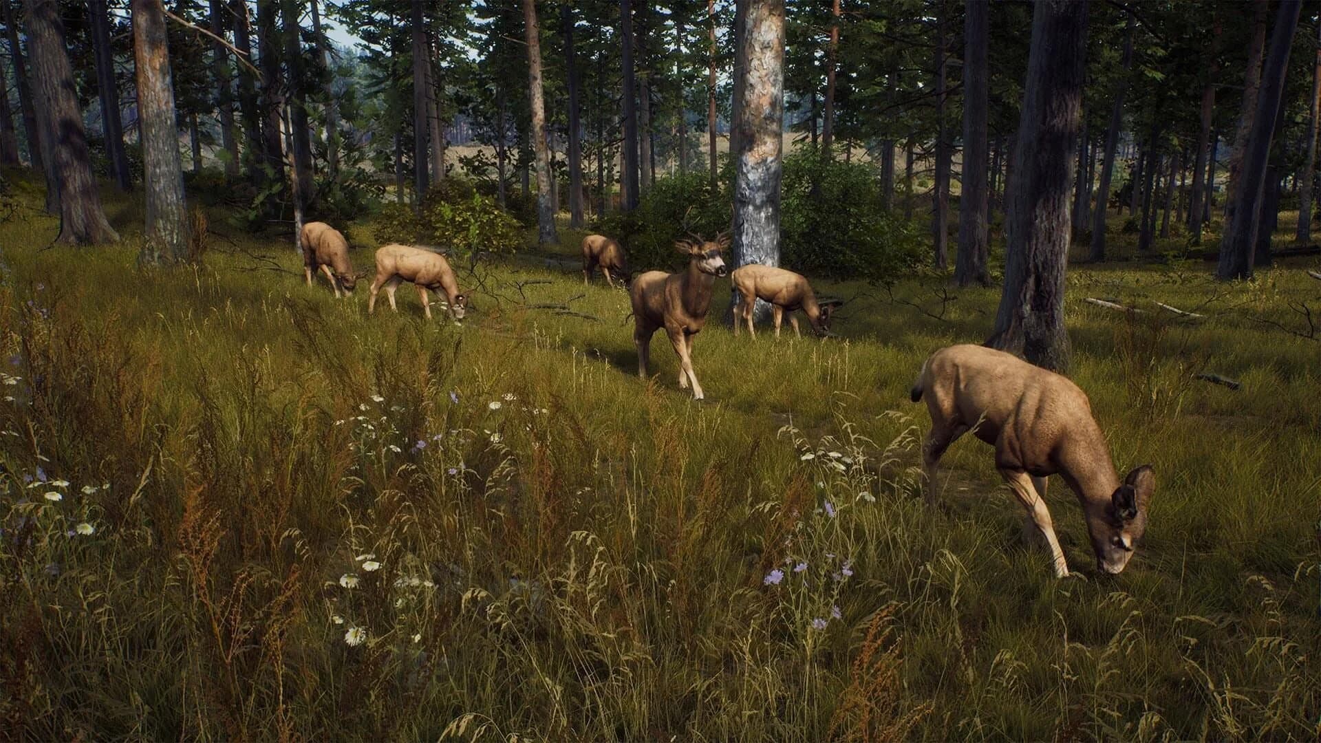 Way of the Hunter screenshot 4