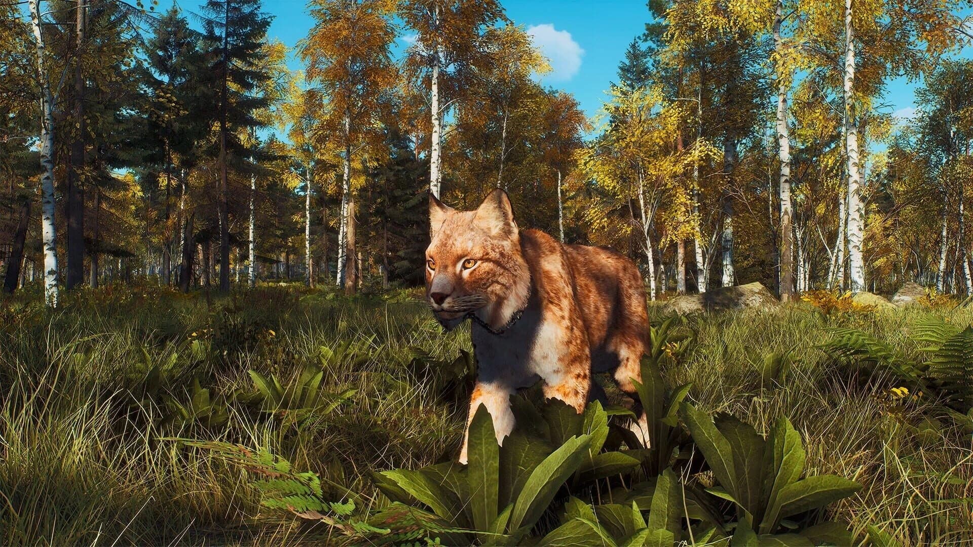 Way of the Hunter: Lintukoto Reserve screenshot 3