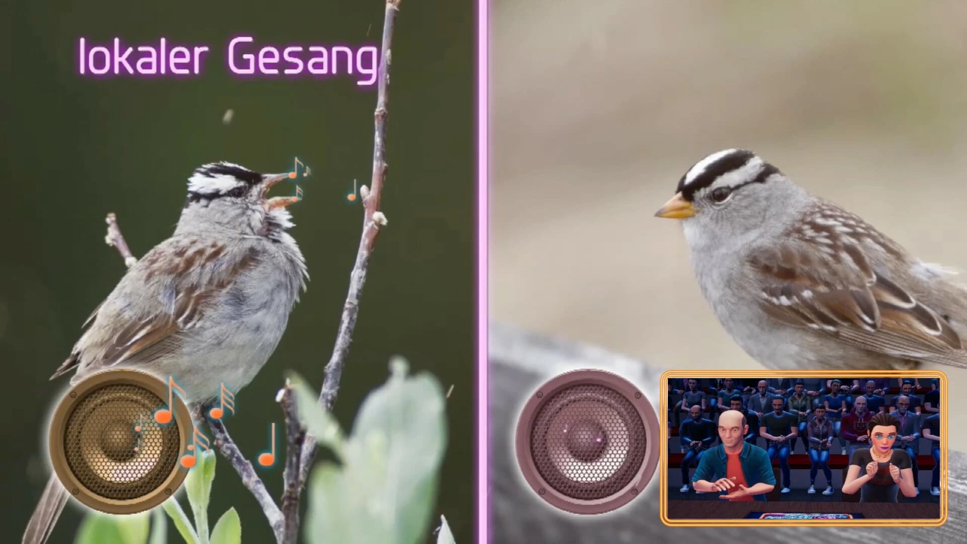 Wer weiß denn sowas?: Das 3. Spiel screenshot 4