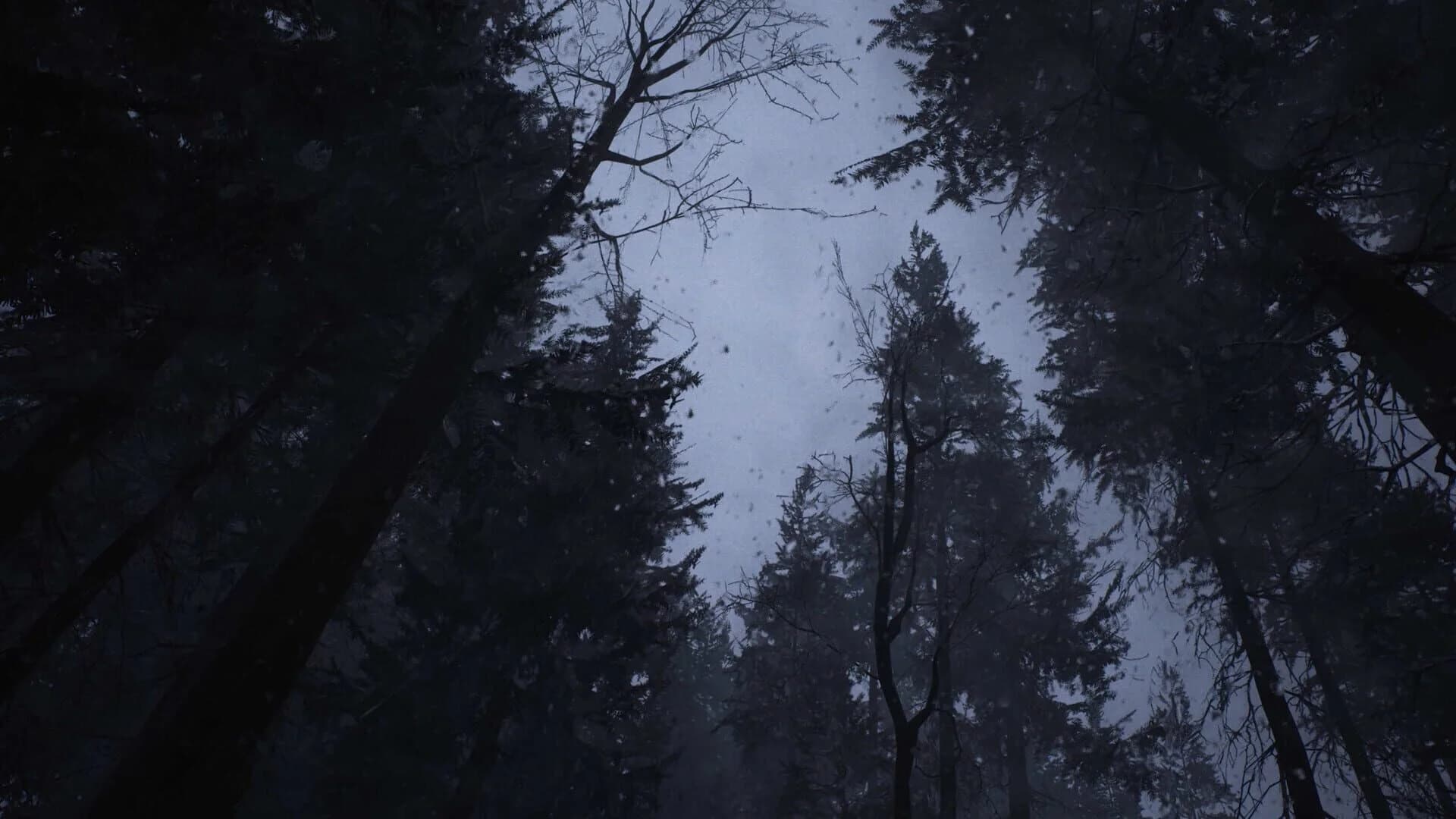 Whispers in the Fog screenshot 3
