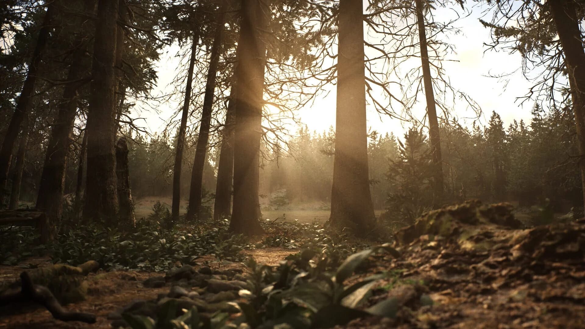 Whispers in the Fog screenshot 4