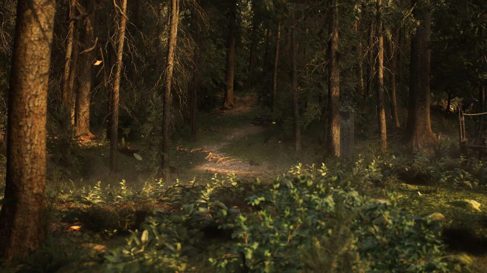 Whispers in the Fog screenshot 2