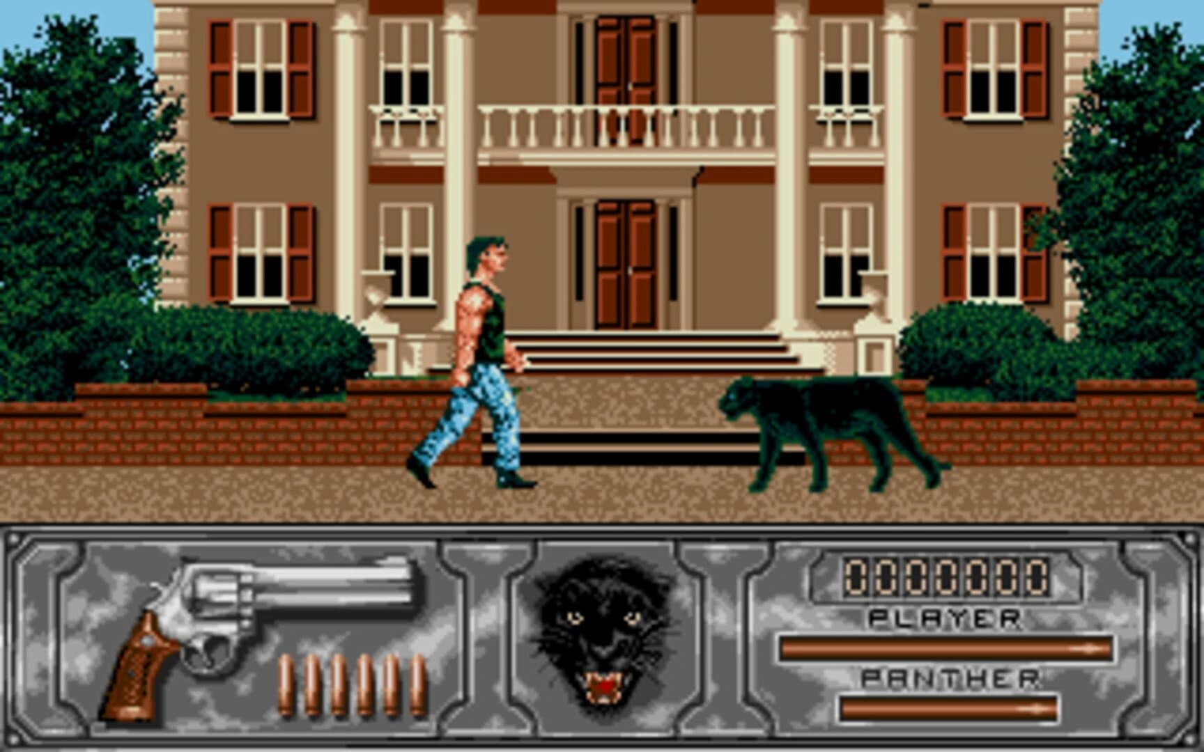Wild Streets screenshot 1