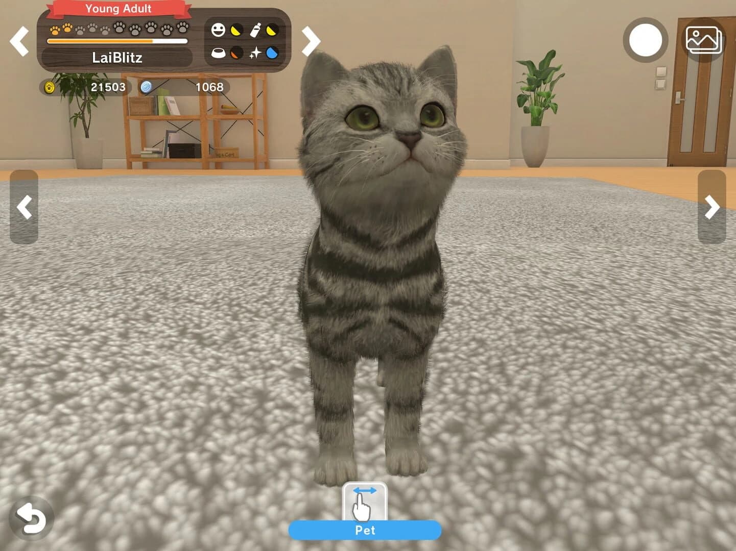 With My Buddy screenshot 3
