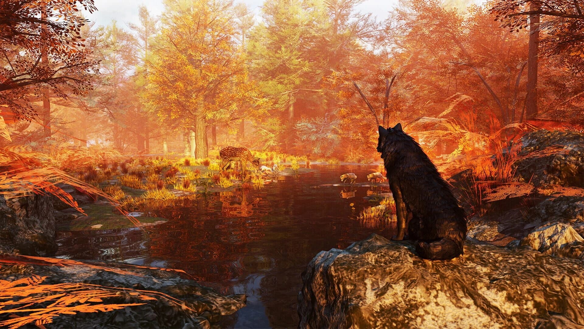 Wolf Simulator screenshot 5
