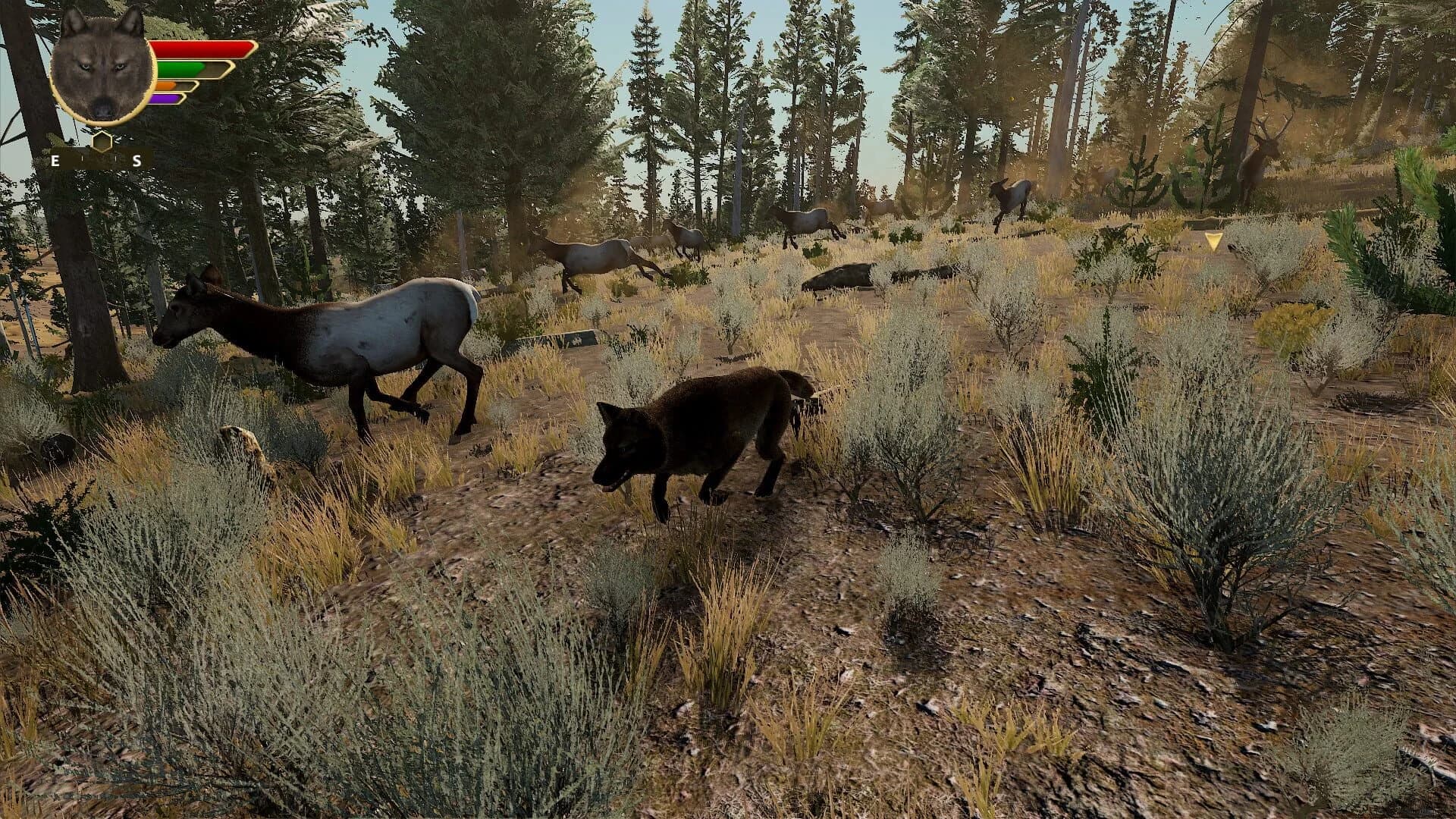 WolfQuest: Anniversary Edition screenshot 5