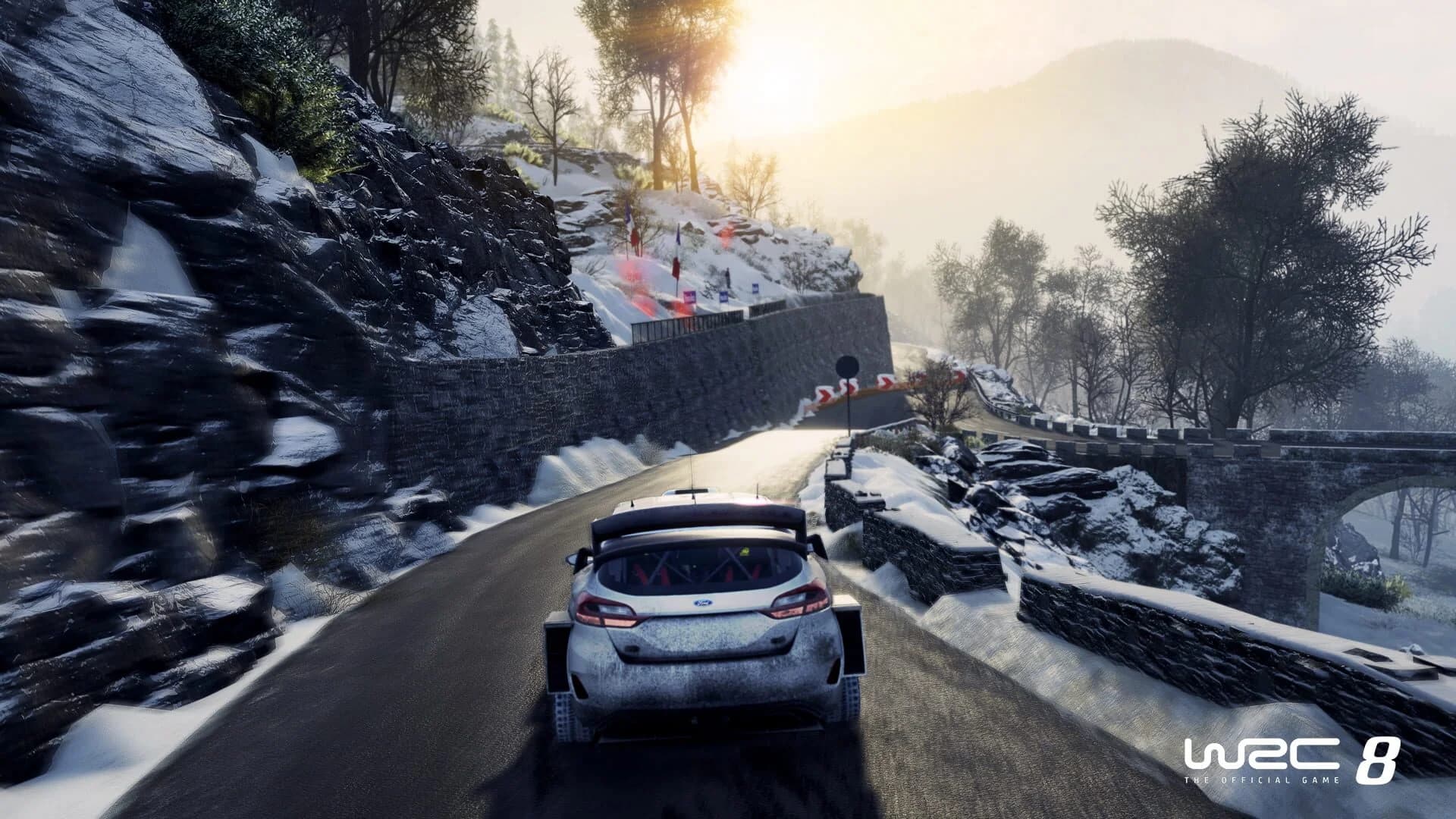 WRC 8 screenshot 4