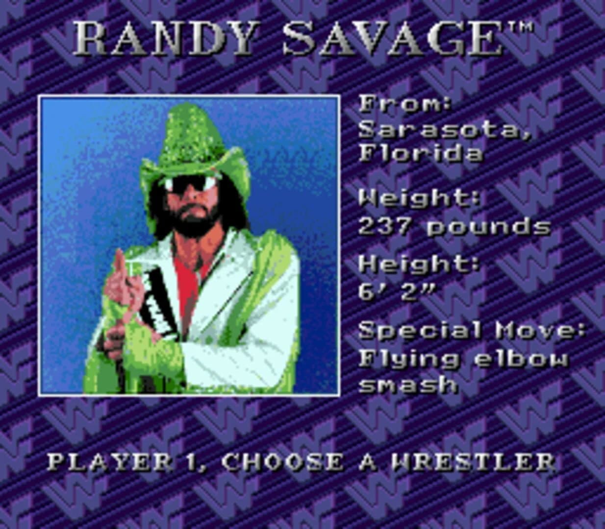 WWF Royal Rumble screenshot 3
