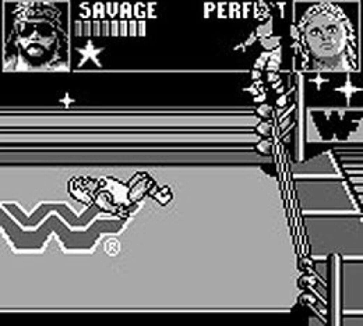 WWF Superstars screenshot 2