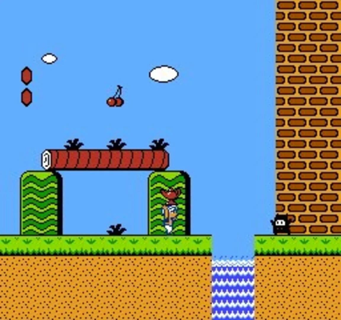 Yume Koujou: Doki-doki Panic screenshot 3