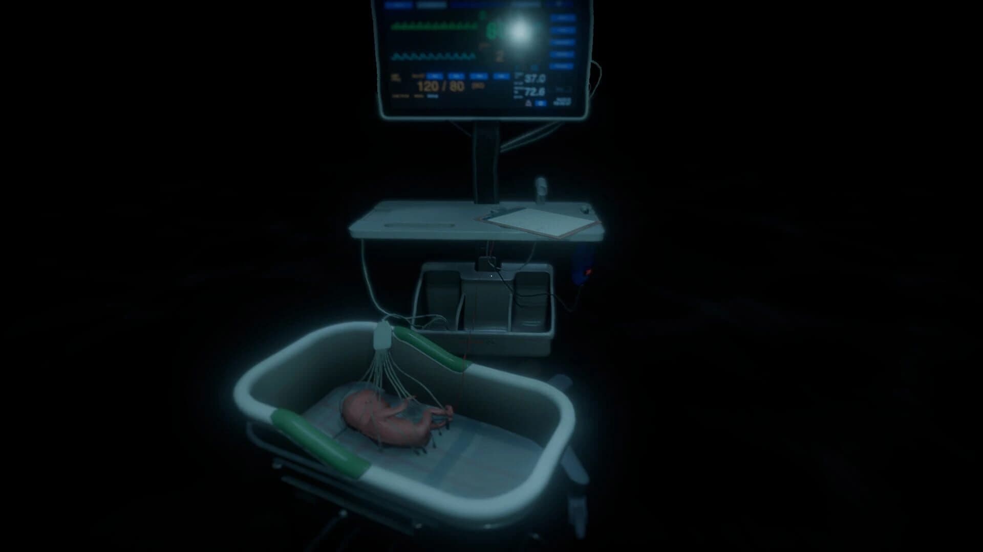 Zaam screenshot 4