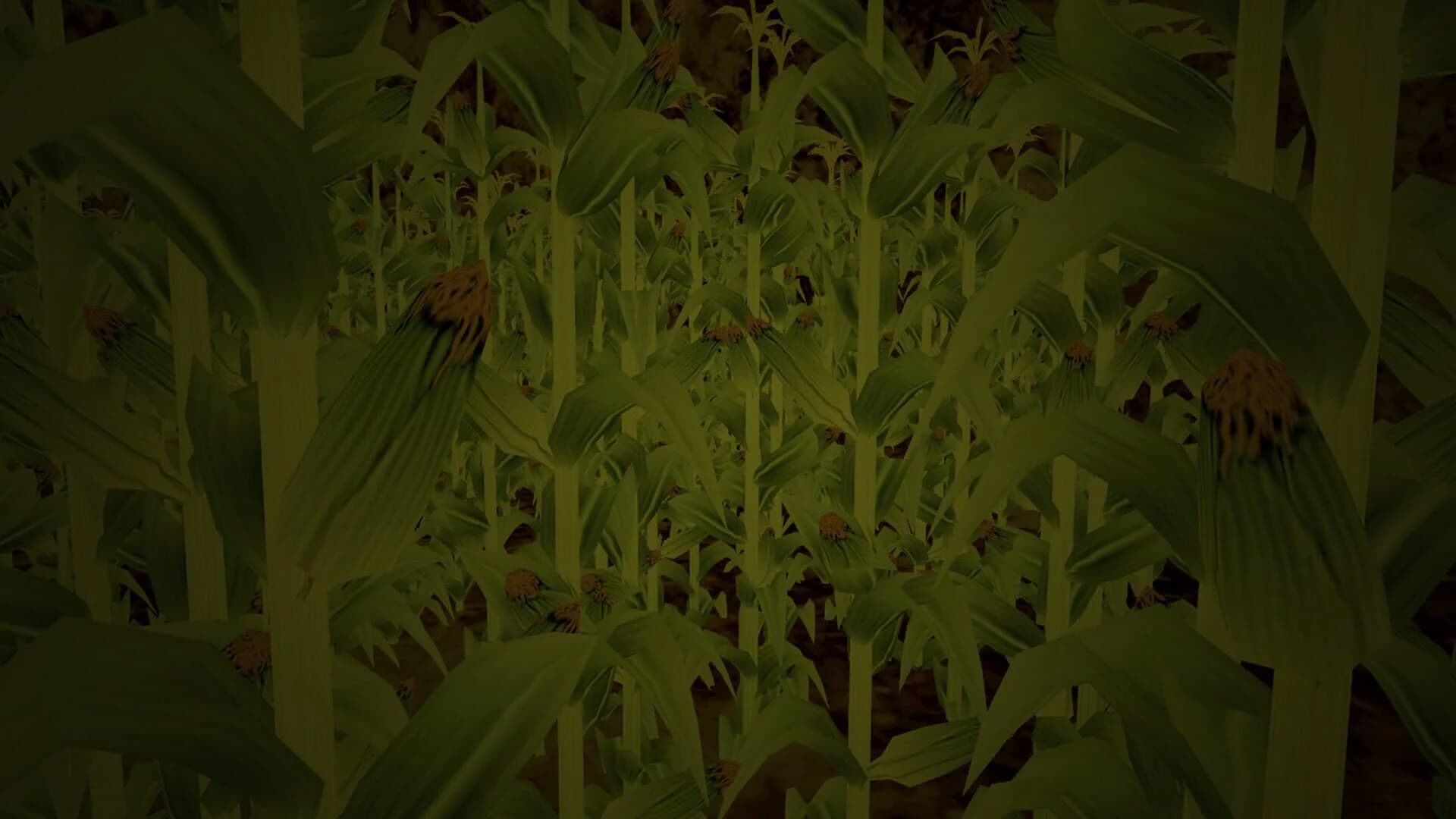 Zardy's Cave screenshot 2