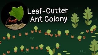Dev Diary