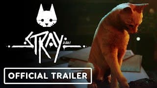 Release Date Trailer