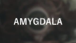 Teaser