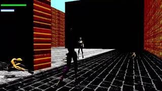 Lizard Lady vs the Cats video 1