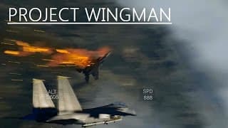 Project Wingman | Alpha Demo