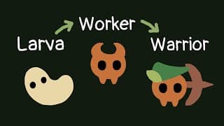 Dev Diary