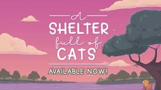 A Shelter Full of Cats video 1