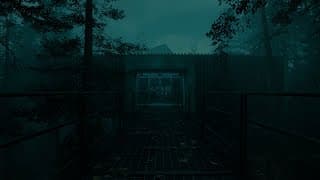 Teaser