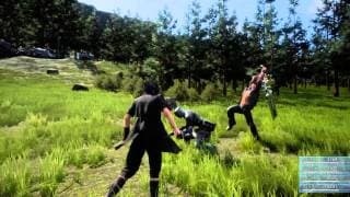 Trailer