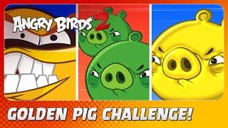 New Update