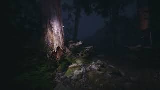 Teaser