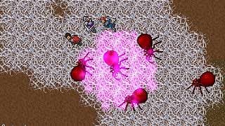 Knights of the Chalice video 1