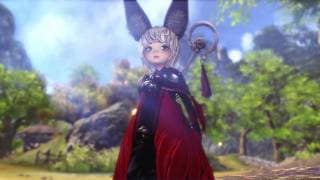 What is Blade and Soul