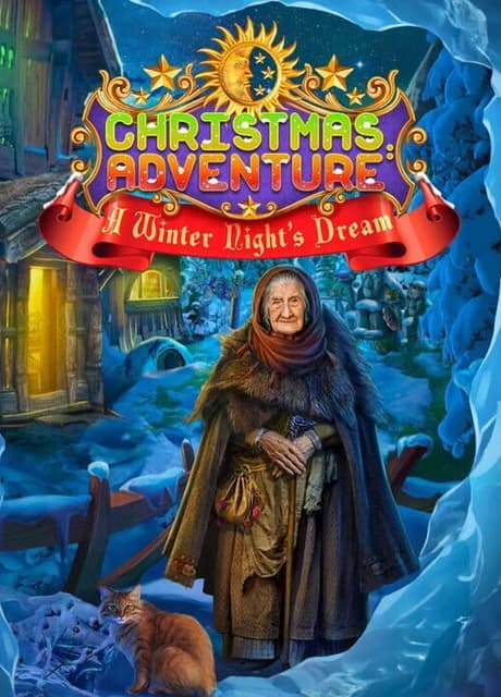 Christmas Adventures: A Winter Night's Dream