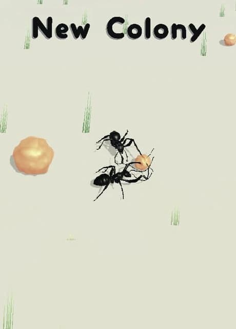 New Colony