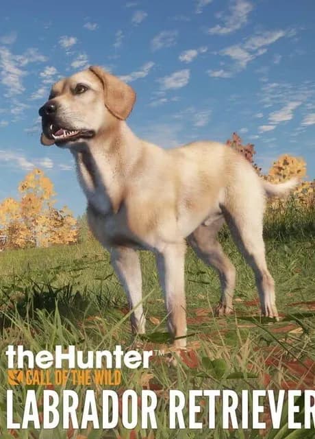 TheHunter: Call of the Wild - Labrador Retriever